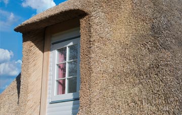 Alweston thatch roof disadvantages
