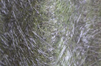 Alweston fibreglass roof work